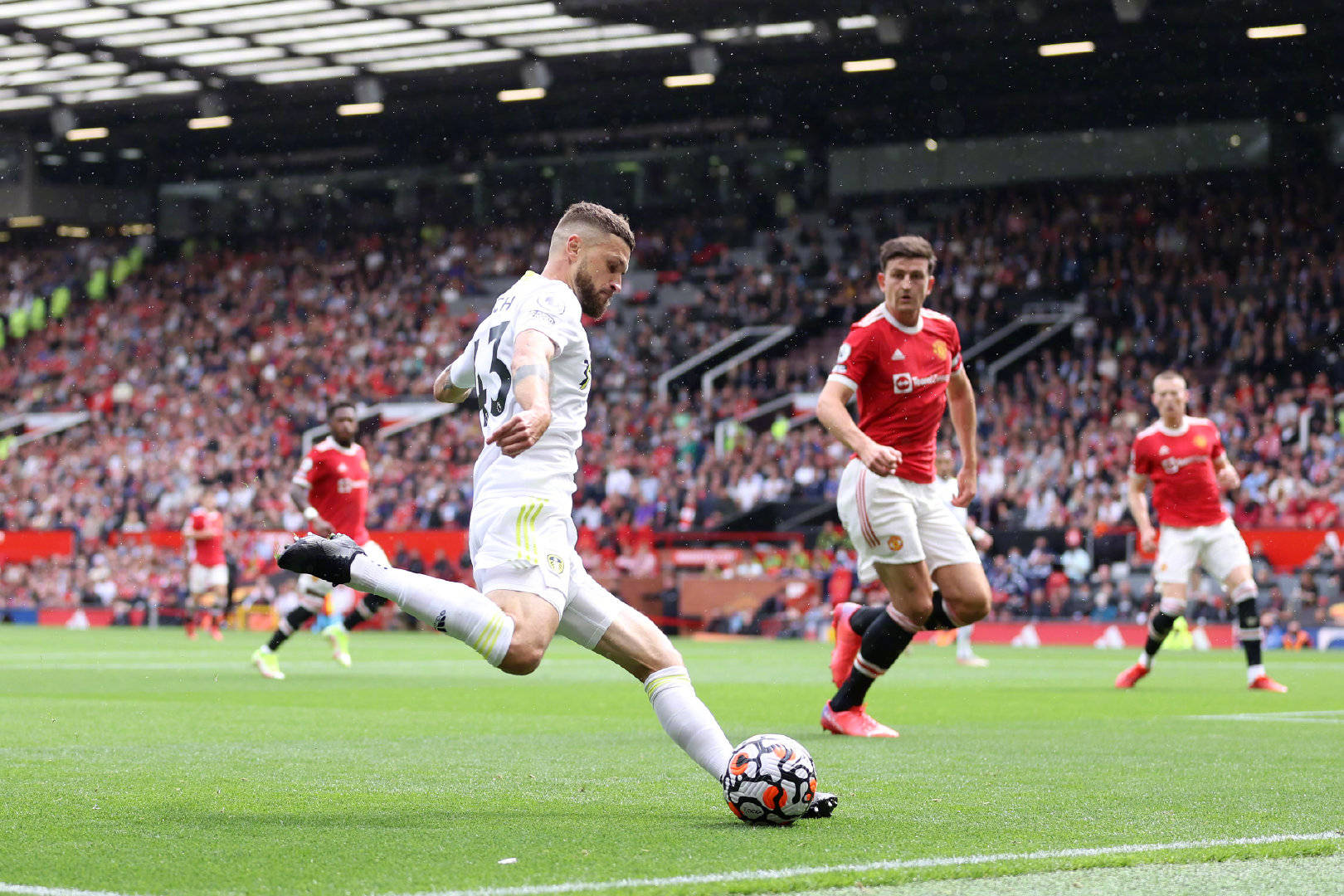 而威尔逊虽 而威尔逊虽